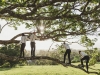 Lisa + Kert | Maleny | October 10, 2015