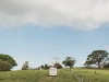 Lisa + Kert | Maleny | October 10, 2015