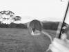 Lisa + Kert | Maleny | October 10, 2015