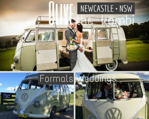 Hire a kombi newcastle